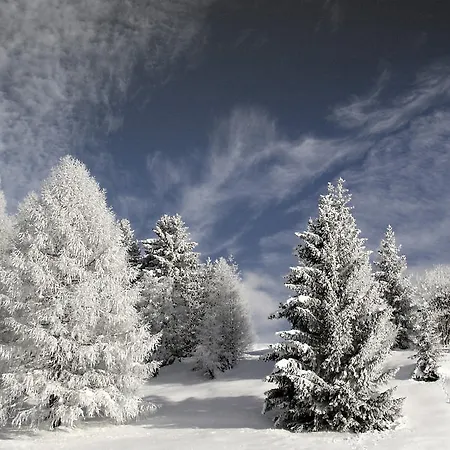 Apartament Kaltenbacher