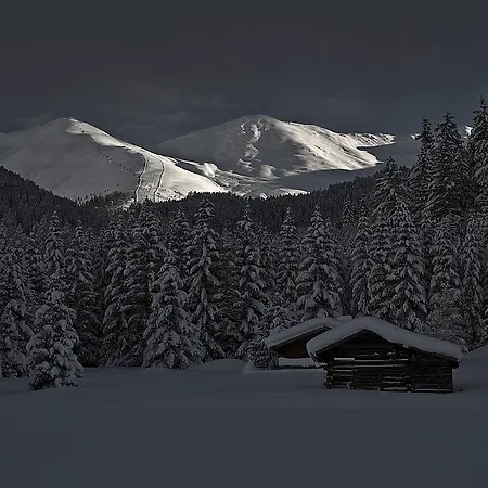 Daire Kaltenbacher Nauders