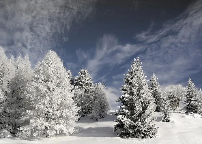 Apartment Kaltenbacher